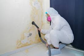 Best Biohazard Mold Removal  in Ashland, OR